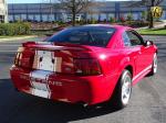 Ford Mustang SVT Cobra Coupe 1999 года